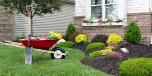 Is Landscaping a Good Investment? [+...